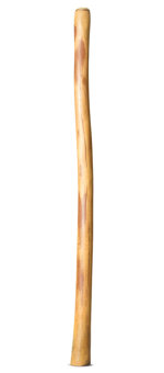 Natural Finish Didgeridoo (TW1513)